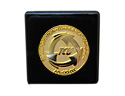 TCU Gold Lapel Pin